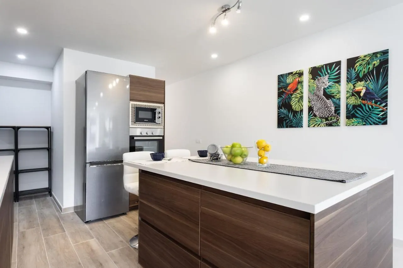 Trinidad Avenue Premium Apartment La Laguna